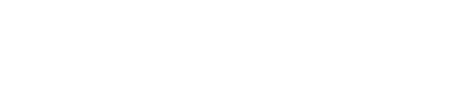 F&N Business Consultants